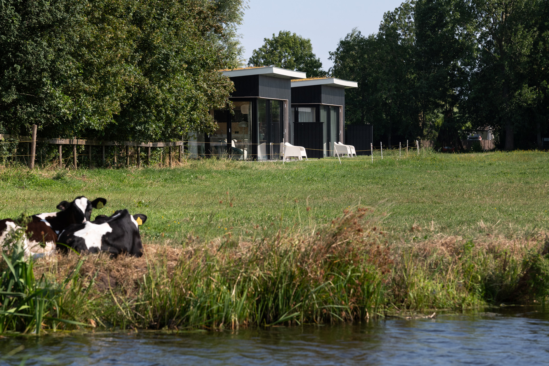 Strakke houten vakantiewoningen in polderlandschap
