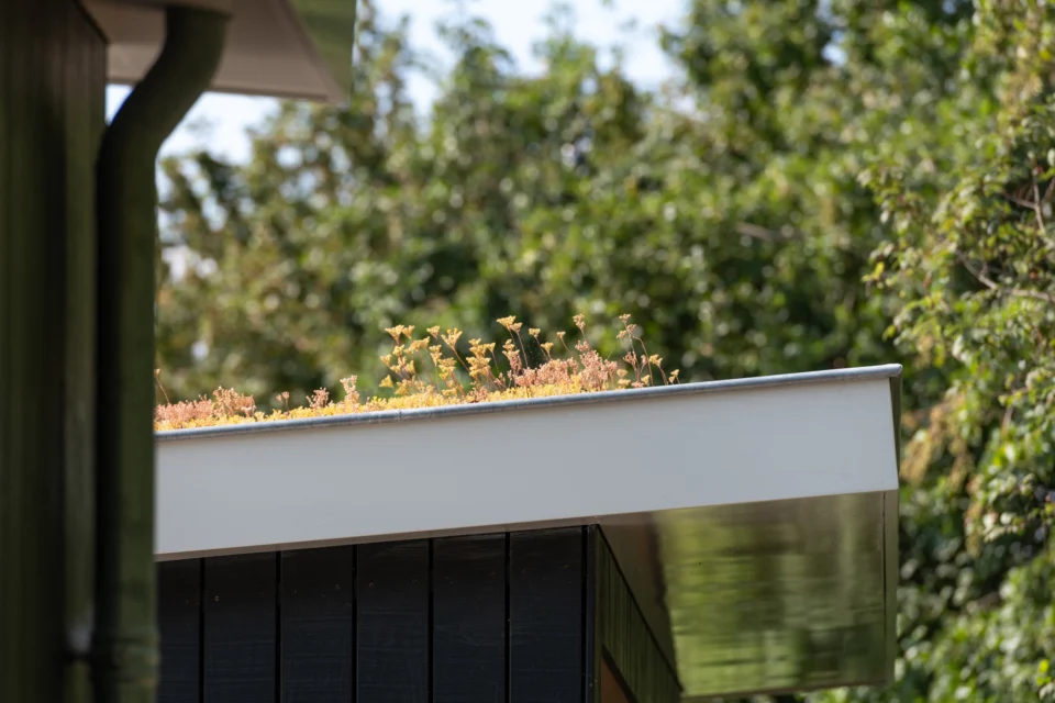 Groendak op vakantiewoning